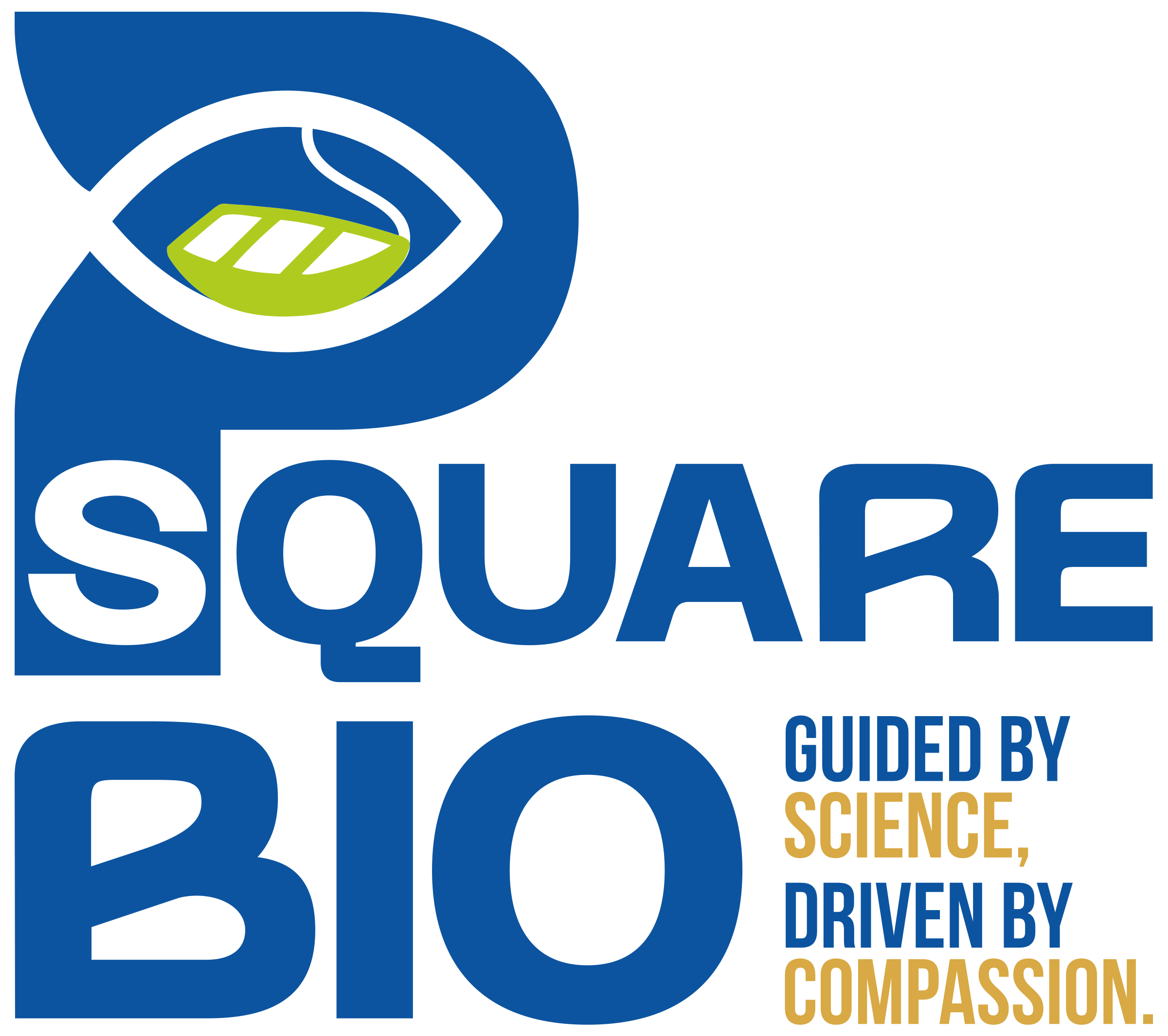 P Square Bio Logo